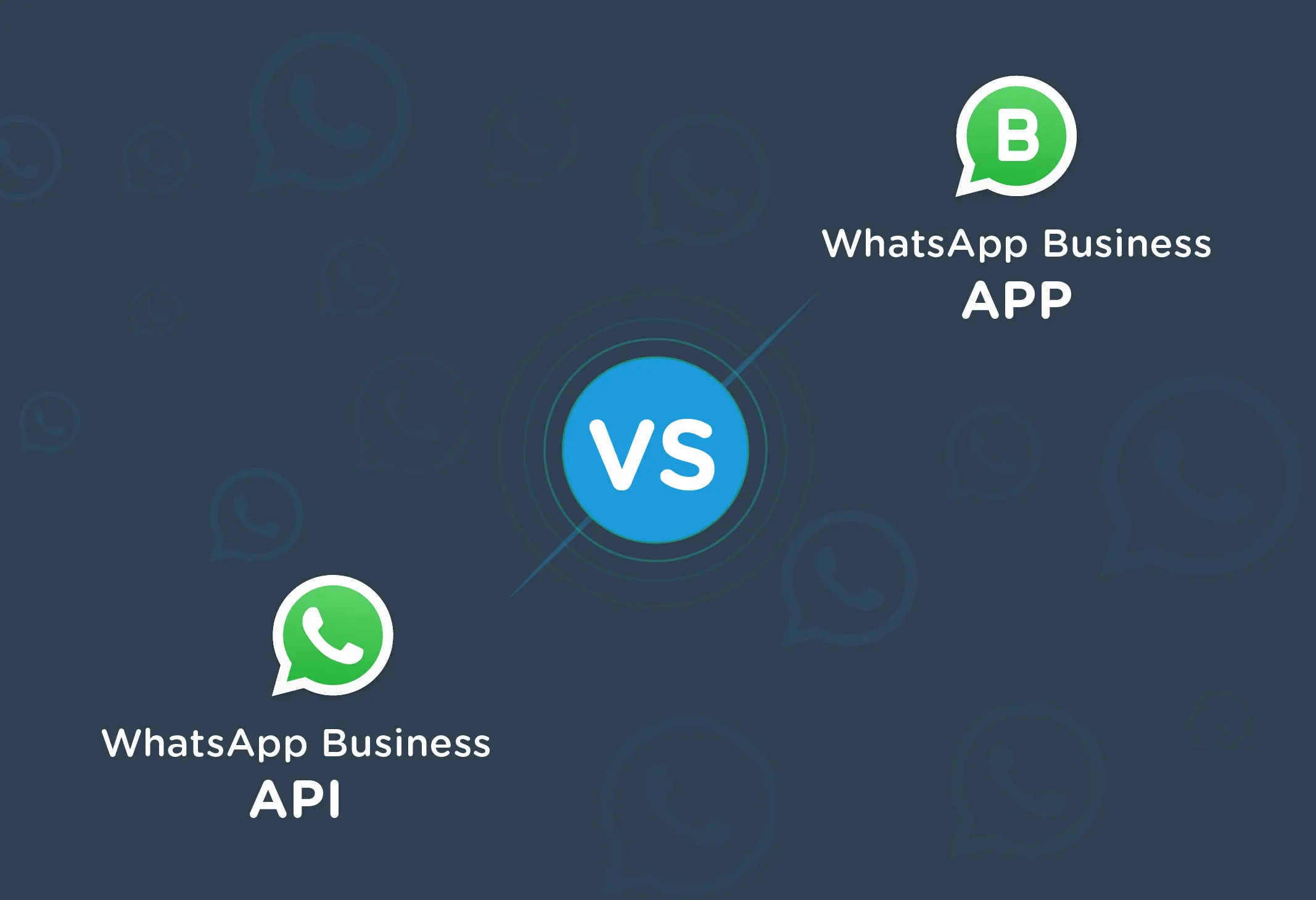 Business Customer Service: WhatsApp Business API vs. WhatsApp Business APP