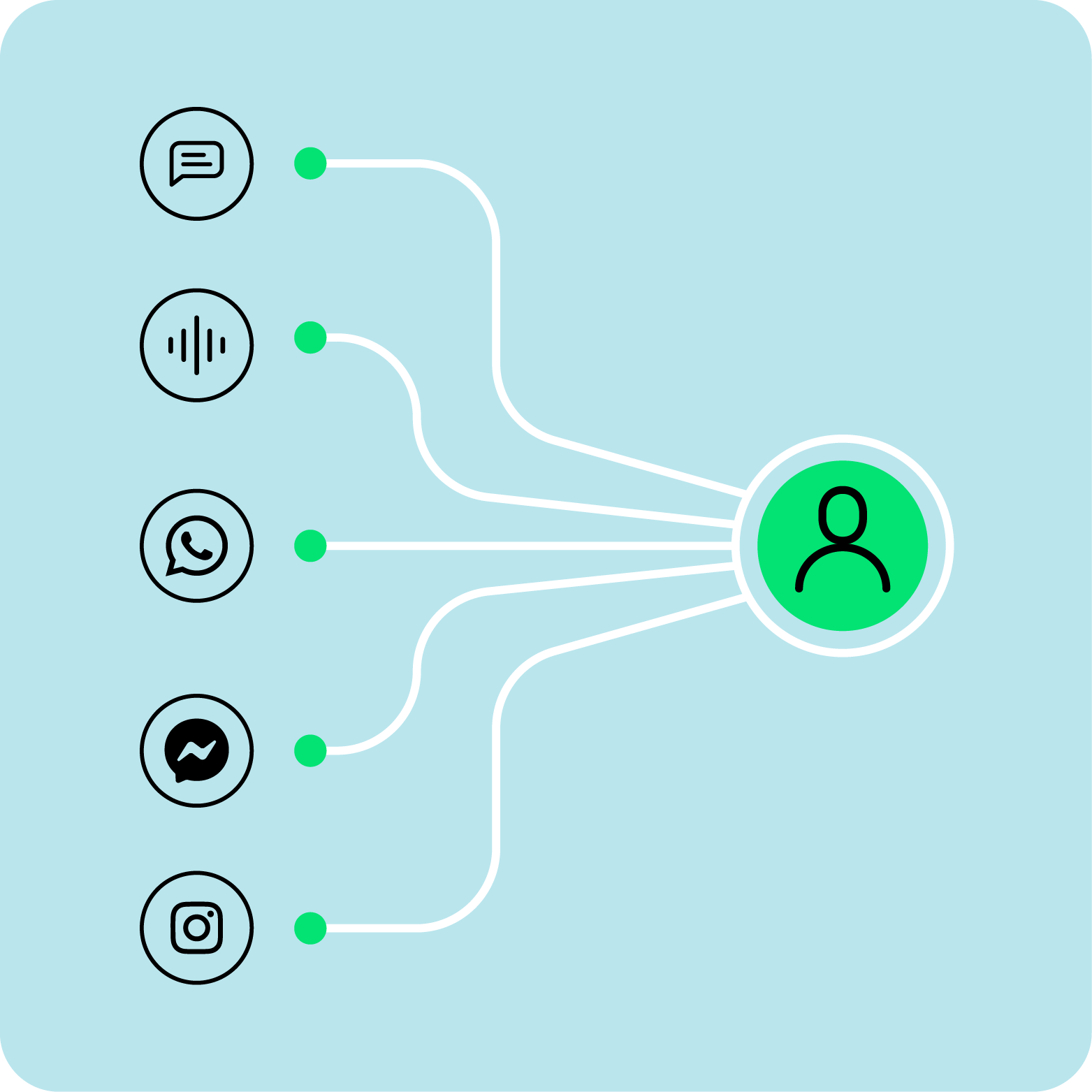 social-channels