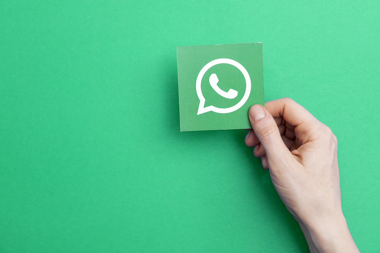 Generate Leads Using WhatsApp Chatbots